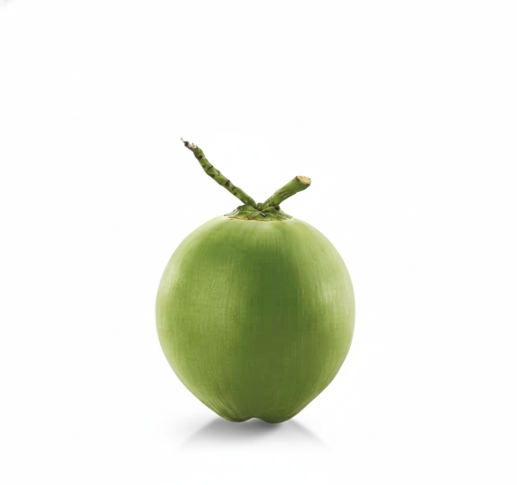Aromatic Coconut
